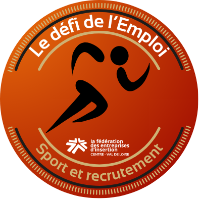 Logo Défi de l'Emploi